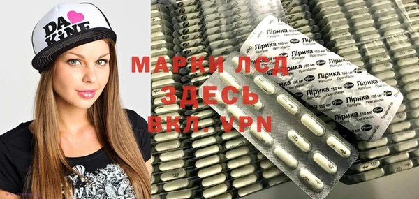 прущие грибы Покровск