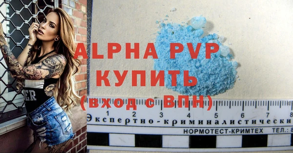 спиды Покачи
