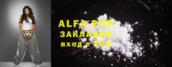 спиды Покачи