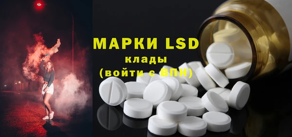 прущие грибы Покровск