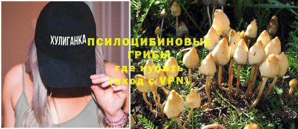спиды Покачи