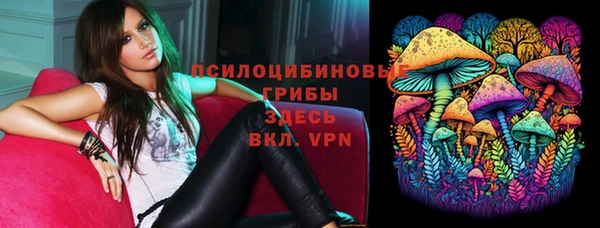 прущие грибы Покровск