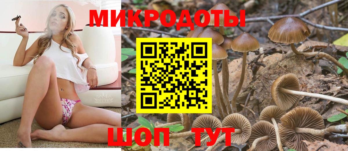 Бахчисарай  Галлюциногенные грибы прущие грибы  Вход с VPN  Галлюциногенные грибы MAGIC MUSHROOMS 