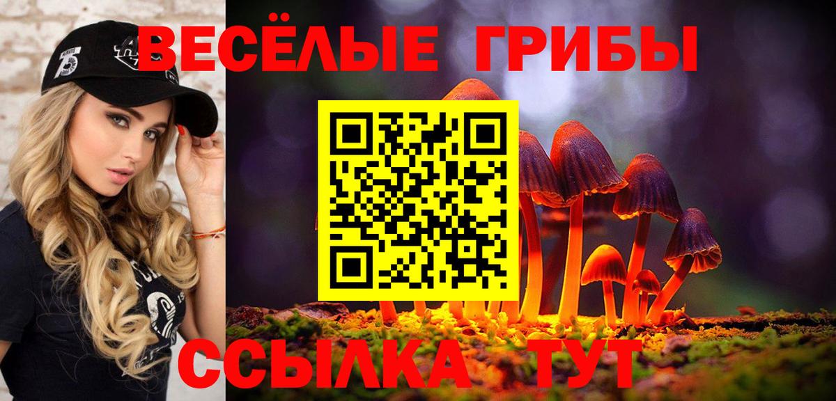 Псилоцибиновые грибы GOLDEN TEACHER Бахчисарай