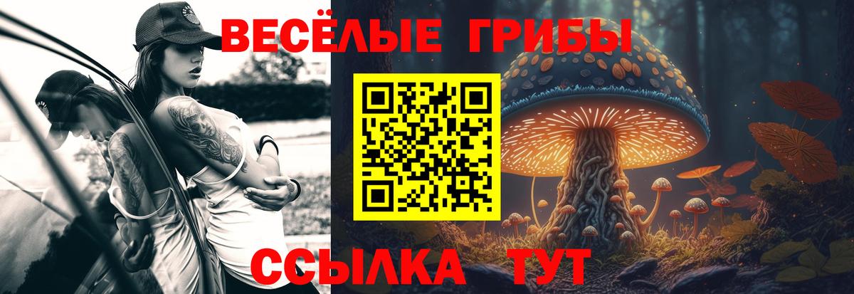 Галлюциногенные грибы мицелий Бахчисарай