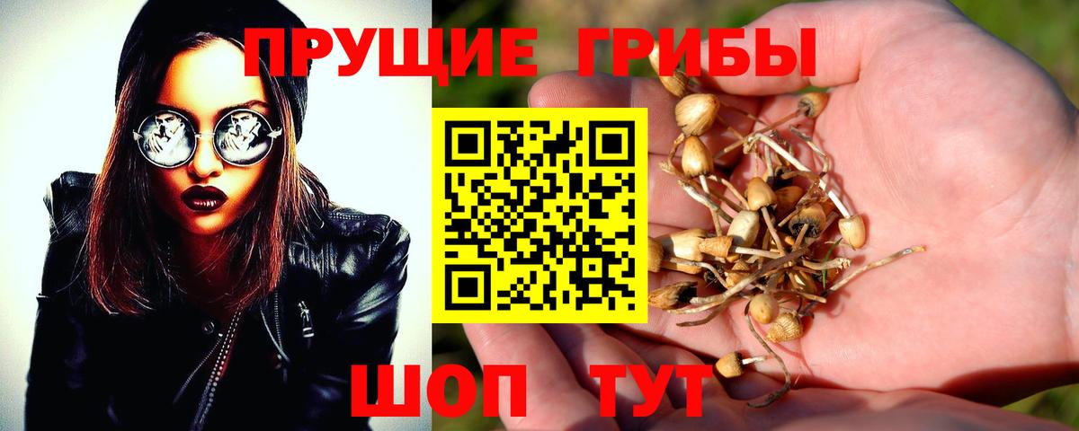 Галлюциногенные грибы Magic Shrooms  Бахчисарай  Галлюциногенные грибы прущие грибы 
